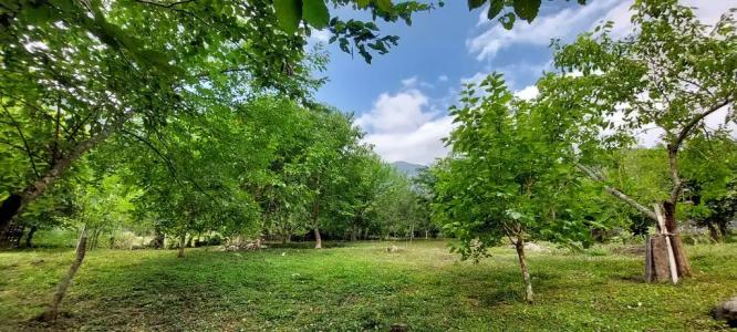 Домик в горах по дороге на Рицу - 13