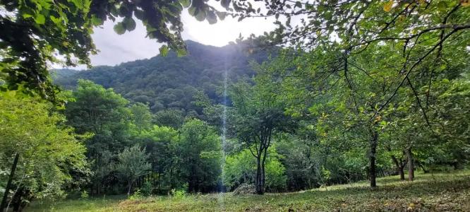 Домик в горах по дороге на Рицу - 15