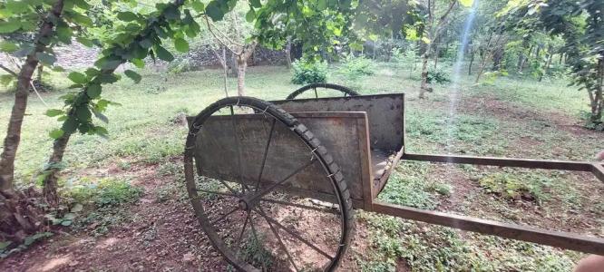 Домик в горах по дороге на Рицу - 16