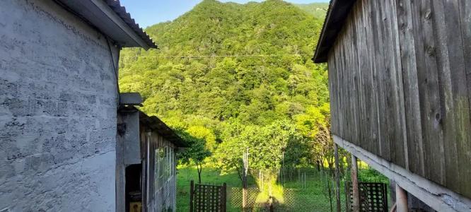 Домик в горах по дороге на Рицу - 18