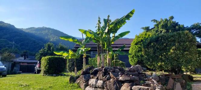 Домик в горах по дороге на Рицу - 21