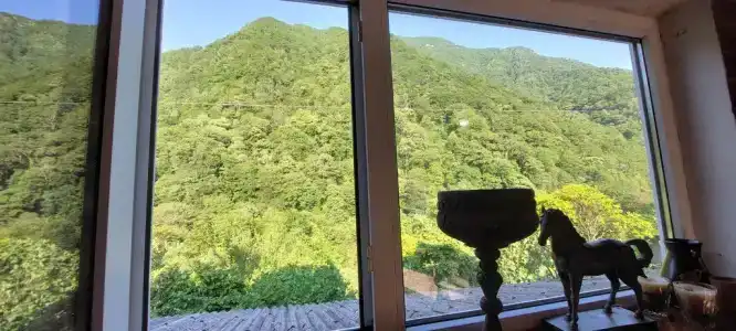 Домик в горах по дороге на Рицу - 32