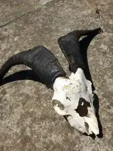 Домик в горах по дороге на Рицу - 42