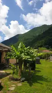 Домик в горах по дороге на Рицу - 46