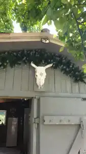 Домик в горах по дороге на Рицу - 49