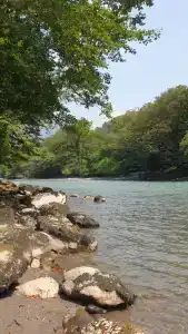 Домик в горах по дороге на Рицу - 52