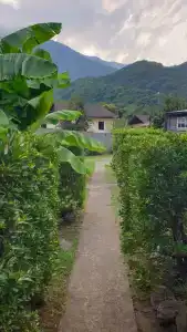 Домик в горах по дороге на Рицу - 57