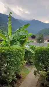 Домик в горах по дороге на Рицу - 58