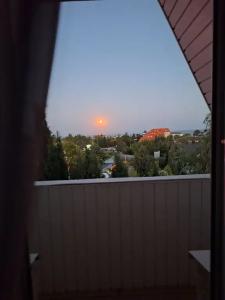Зеленый рай - 2
