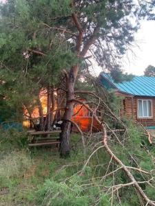 Тургеневские острова - 24