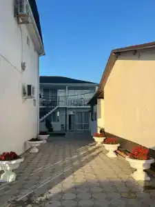 Белая Лебедь - 10