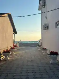 Белая Лебедь - 11