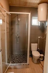 Канентъявр - 171