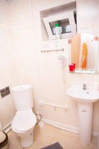 Микли-Ольгино - 106