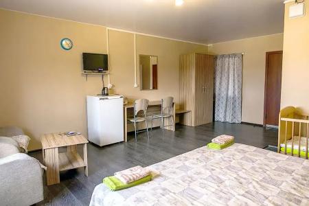 Микли-Ольгино - 110