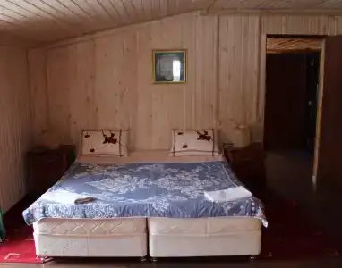 Микли-Ольгино - 116