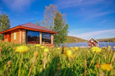 Микли-Ольгино - 217