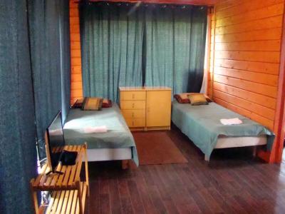 Микли-Ольгино - 220