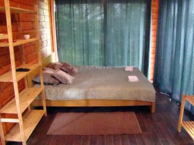 Микли-Ольгино - 221