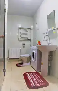 Микли-Ольгино - 233