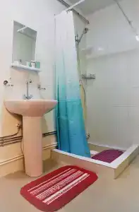 Микли-Ольгино - 251