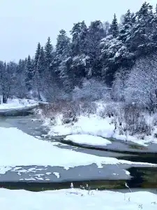 Место силы - 124