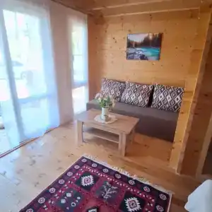 Ласточкино гнездо - 0
