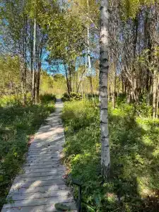 Озеро Ле - 14