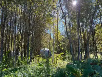 Озеро Ле - 2