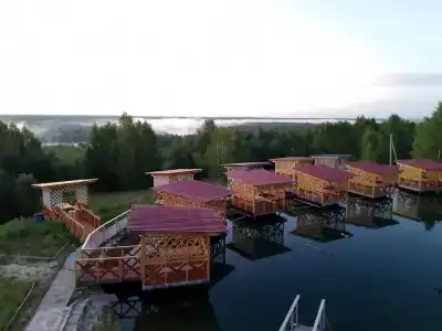 ВетЛуга - 1