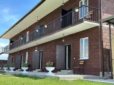 Клён - 2