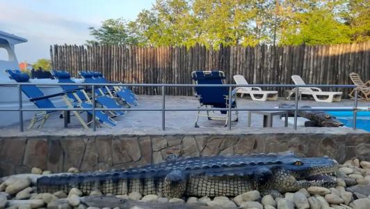 Усадьба - 123