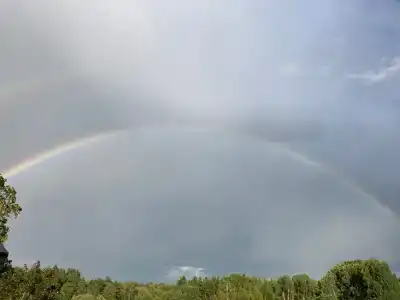 Уютные Ёлы - 33
