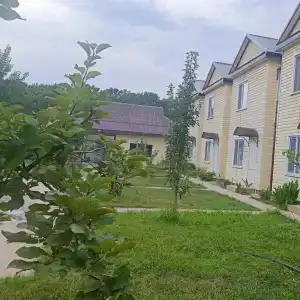 Оазис - 10
