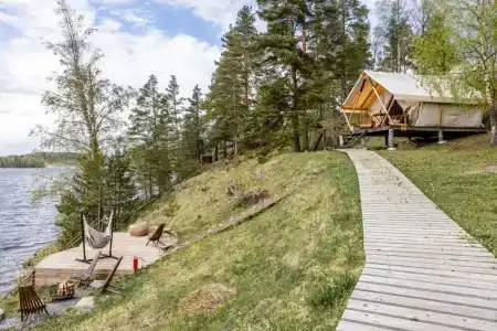 Смородина Кемп - 63