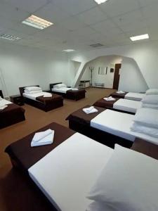 Континент - 36