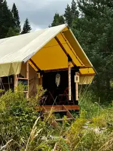 Radostland - 52