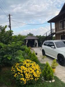 Александрия - 0