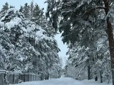 ЭкоPort на Отрадном - 14