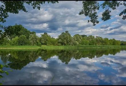 Рекаоблака - 5