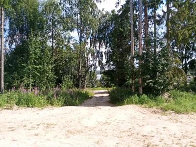 Вегвизир - 1