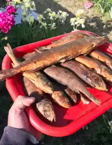 Гуляй-город - 26