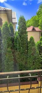 Eco House - 34