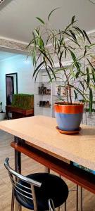 Eco House - 71
