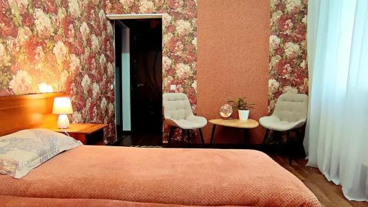 Eco House - 50