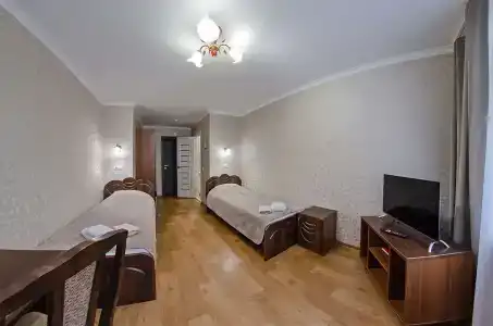 Спутник - 1