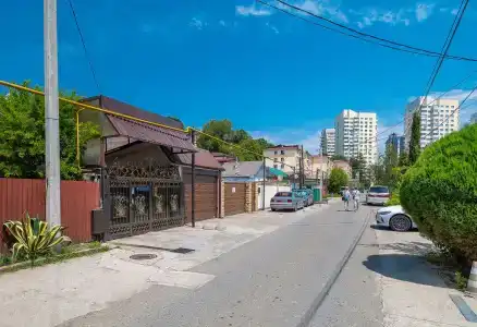 Азалия-Мимоза - 14