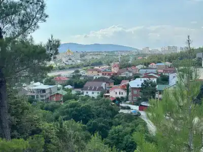 Тара - 10