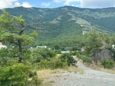 Тара - 12