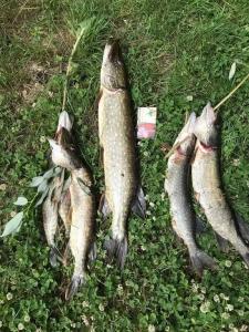 Берлога Hall - 3